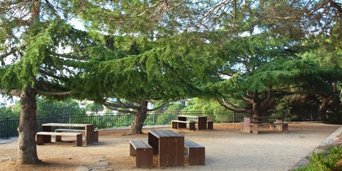 Àrea de pícnic del Parc Forestal de Mataró Área de pícnic del Parque Forestal de Mataró