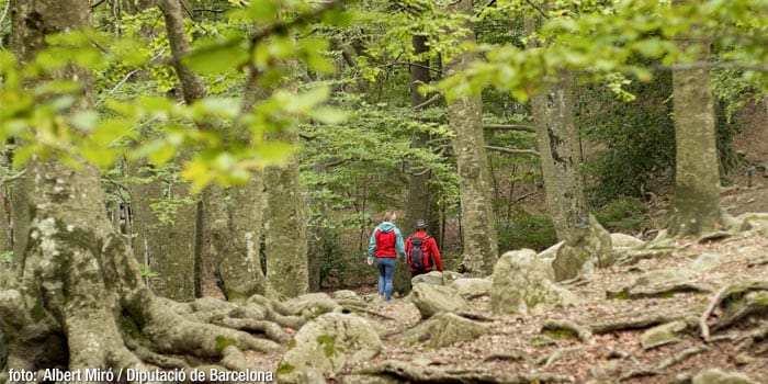 Santa Fe del Montseny