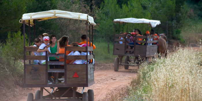 Disfruta del campo y los animales en familia