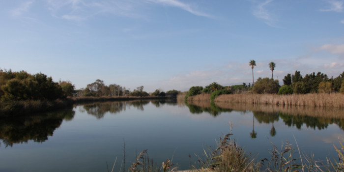 Espai Natural Delta del Llobregat Delta del Llobregat