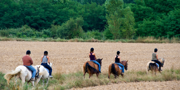 Horse-riding routes in Osona