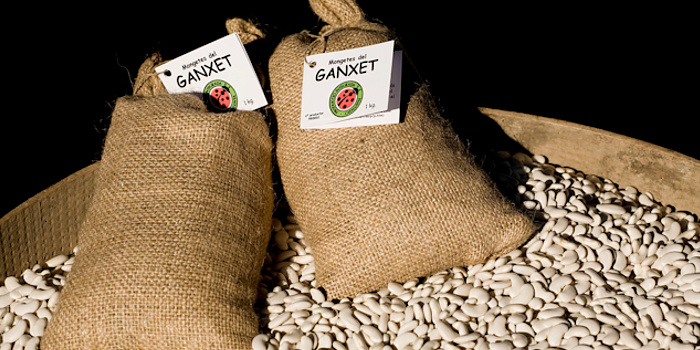 Haricot du Ganxet AOP