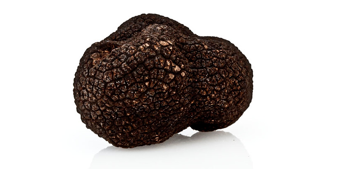 <p>Black truffle from Berguedà</p>