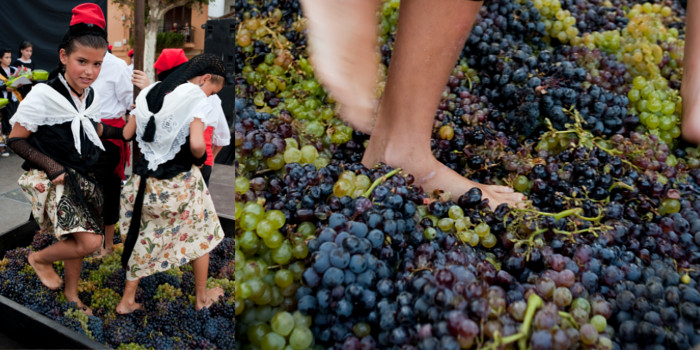 Wine Harvest Festival