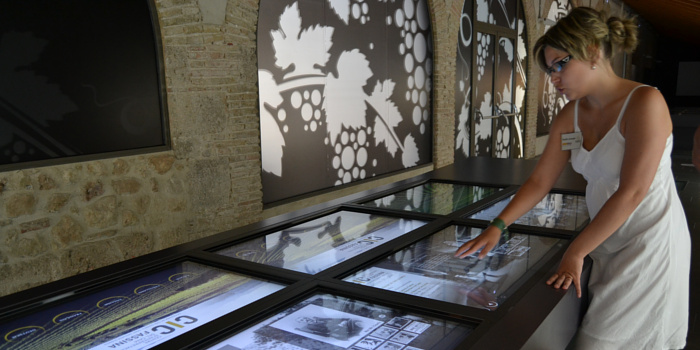 Interactive displays to discover the origins of cava