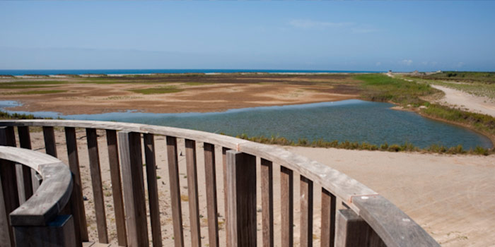 Espacios naturales del Delta del Llobregat