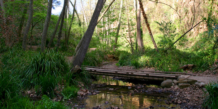 Torrente de Colobrers