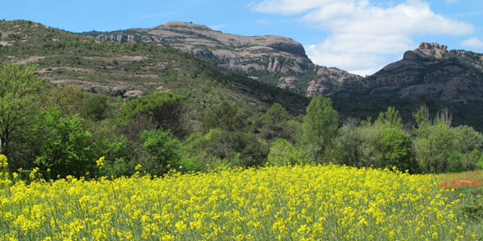 Sant Llorenç de Munt i l’Obac Natural Park