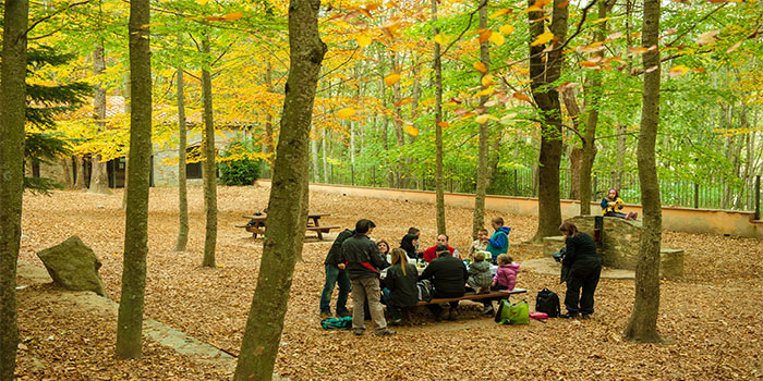 Pícnic a Can Casades Parc Natural del Montseny. Foto: Iñaki Relanzón Área de pícnic de Can Casades