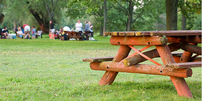 Pícnics per a anar amb la canalla Pícnics para ir con los niños