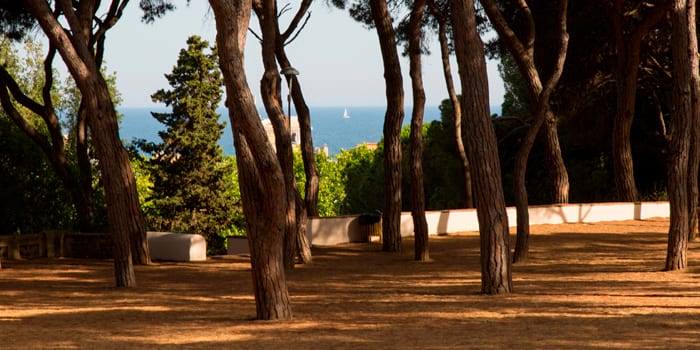 Parc Dalmau Calella Parc Dalmau de Calella