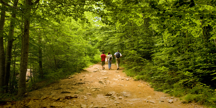 Paseos por el Montseny