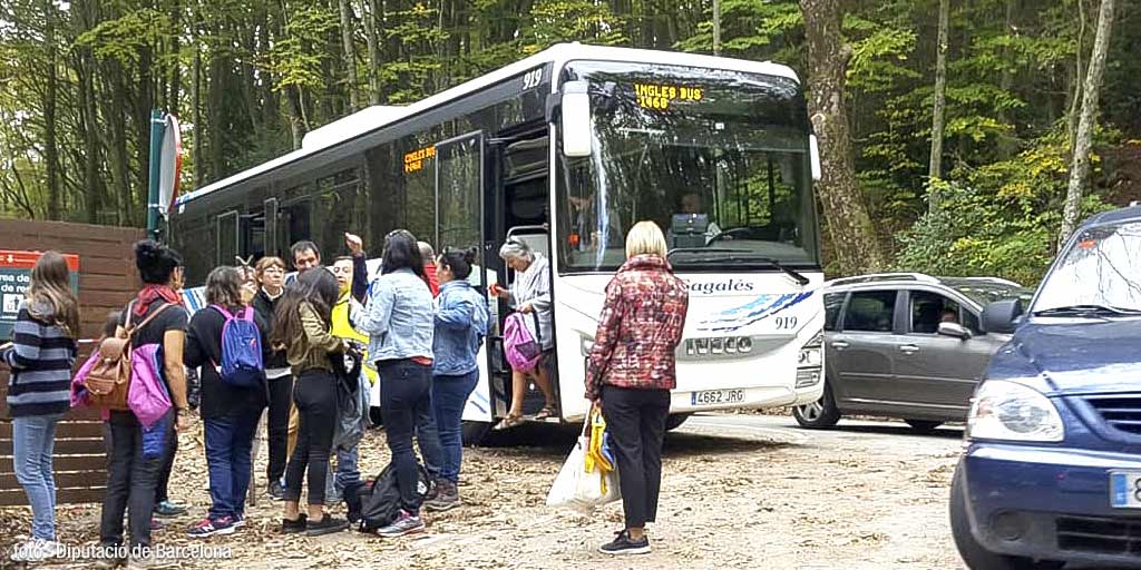 Bus to the park