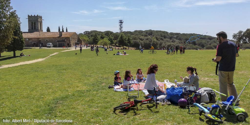 On a picnic