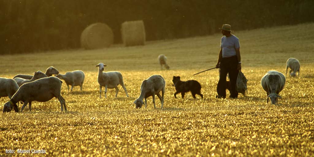 Cadre rural dans la région du Vallès Oriental