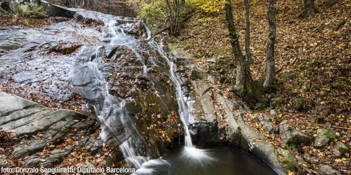 El Montseny