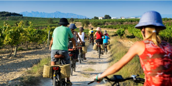 Passeig entre vinyes amb bicicleta elèctrica