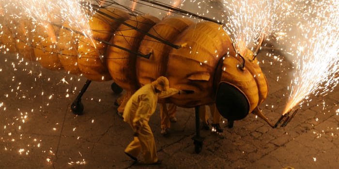 Fiesta de la Filoxera