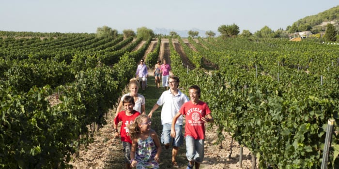 <p>Una experiència enoturística a l'alça</p>