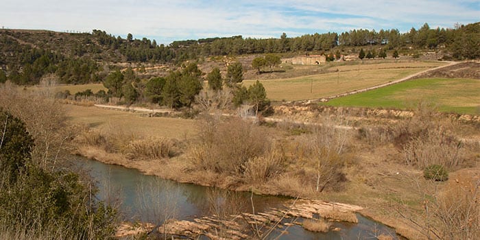 La casa de les Tines a Sant Fruitós de Bages