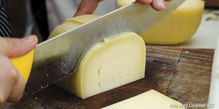 Cortando queso