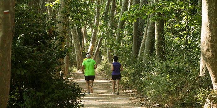 <p>Camins per gaudir de Gallecs</p>