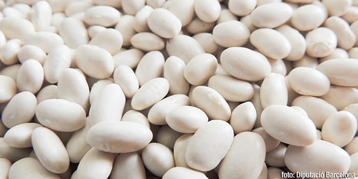 Mongetes de Castellfollit del Boix