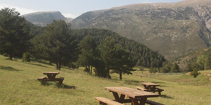 <p>Zona de pícnic de la Font Terrers a Gósol</p>