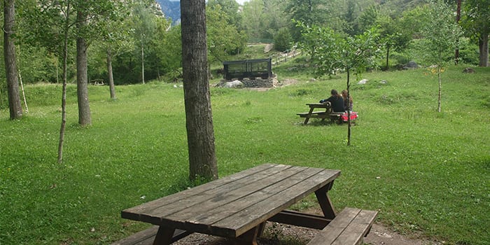 Zona de pícnic Riugréixer a Bagà