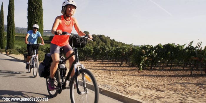 El Penedès con mountain bike