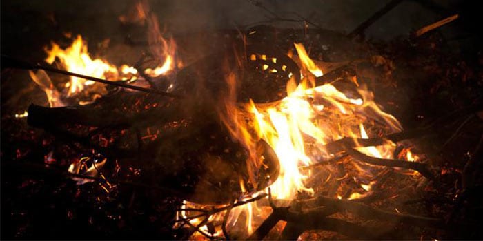 Feria de la castaña de Viladrau