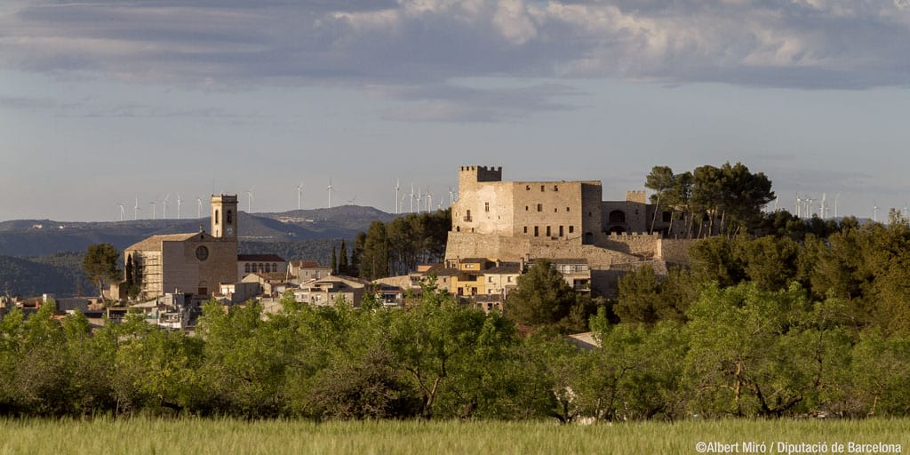 <p>Sant Martí de Tous</p>