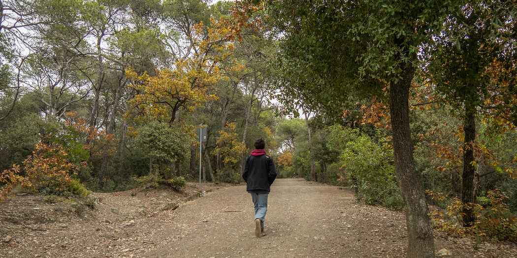 Una imatge d'un excursionista passejant per Collserola (Fotografia: Bernat Figueras) Una imatge d'un excursionista passejant per Collserola