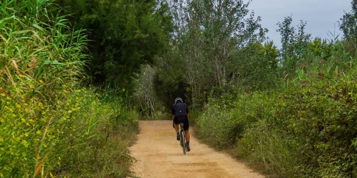 Ruta per anar en bicicleta pel Delta del Llobregat (Fotografia: Bernat Figueras) Ruta per anar en bicicleta pel Delta del Llobregat