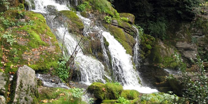 Una imatge d'una de les fonts del Llobregat al Berguedà. Una imatge de les fonts del Llobregat al Berguedà