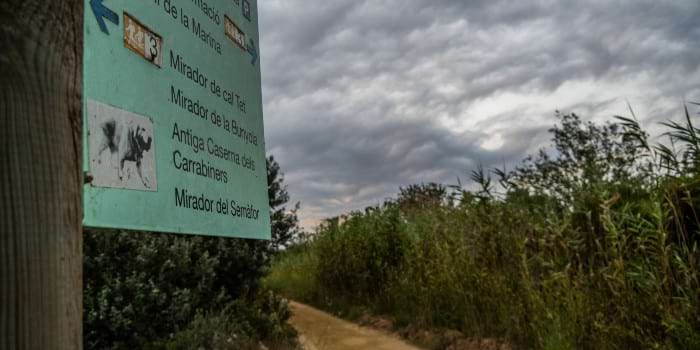 Itineraris de la ruta pel Delta del Llobregat (Fotografia: Bernat Figueras) Itineraris de rutes pel Delta del Llobregat