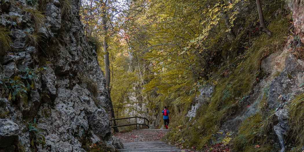 Una imatge d'un tram de la ruta pel Santuari de Santa Maria de Queralt (Fotografia: Bernat Figueras) Tram de la ruta pel Santuari de Santa Maria de Queralt