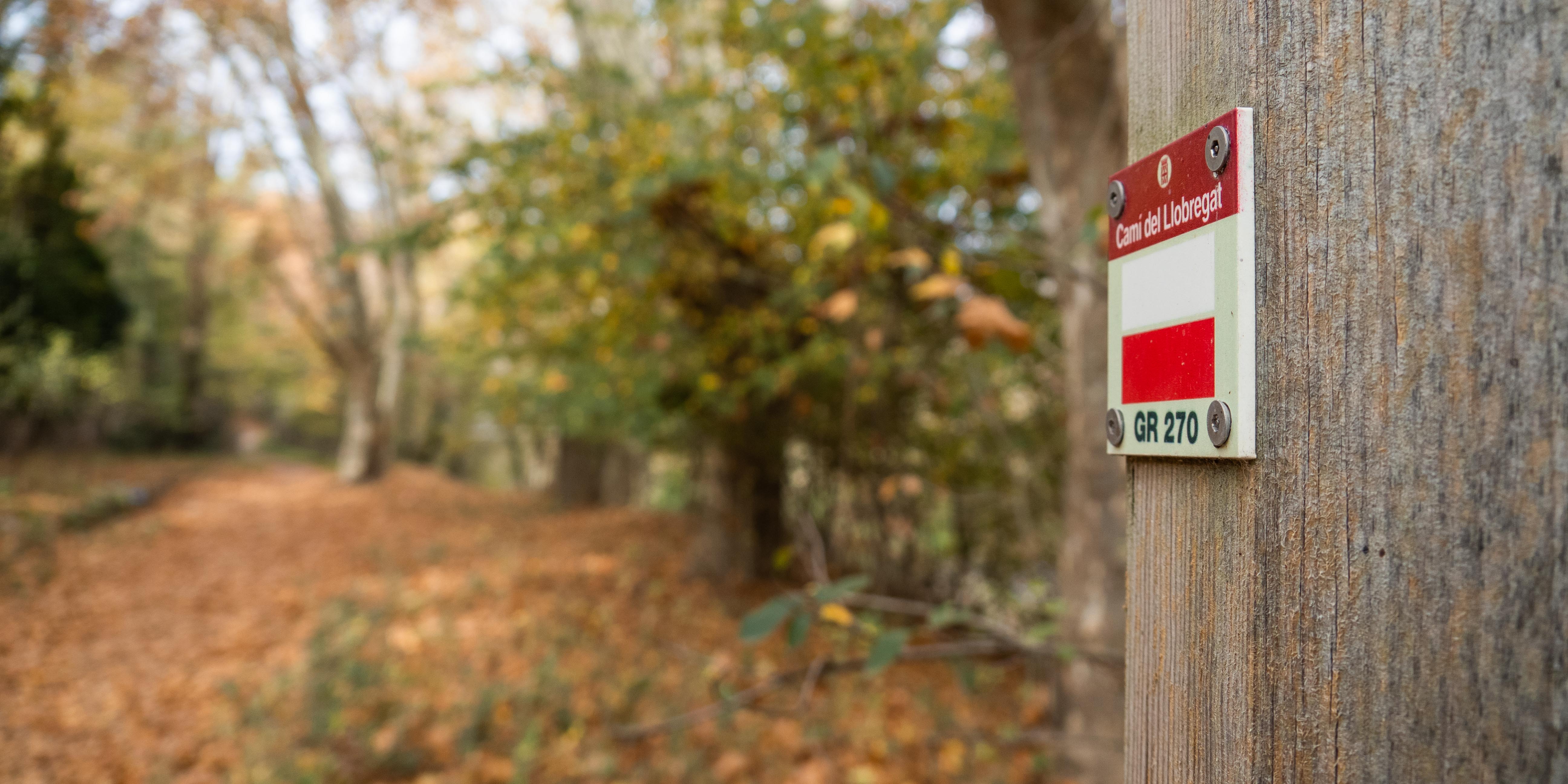 Una imatge d'una fita senyalitzant un camí d'una travessa al Berguedà (Fotografia: Bernat Figueras) Una imatge d'una fita senyalitzant un camí d'una travessa al Berguedà