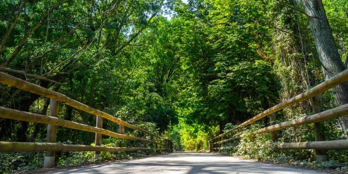 Can Pedret a Rosal (Fotografia: Bernat Figueras) Ruta de Cal Rosal a Pedret