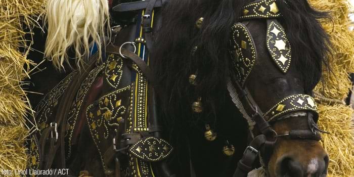 Tres Tombs en Igualada