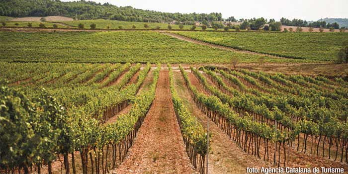 DO Pla de Bages