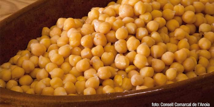 <p>Cigronet de l'Alta Anoia</p>