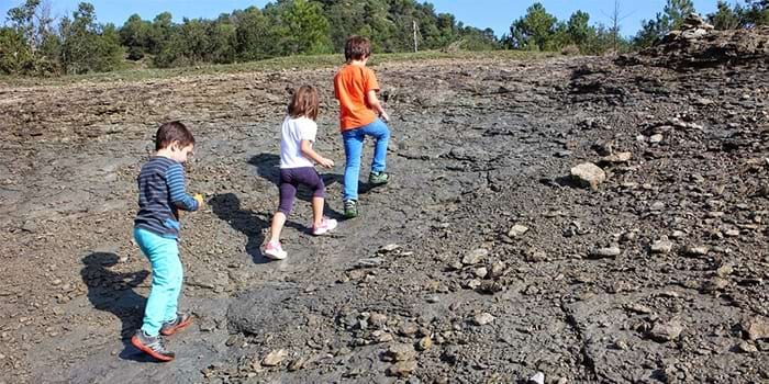 <p> Cims amb la canalla</p>