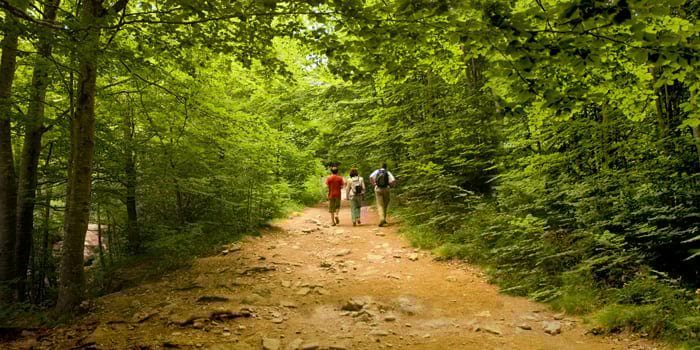 Passejades pel Montseny