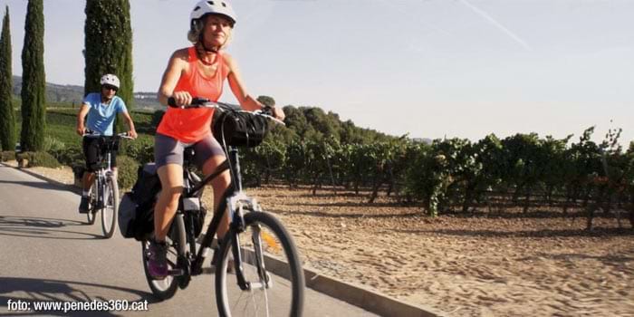 In the Penedès region on a mountain bike