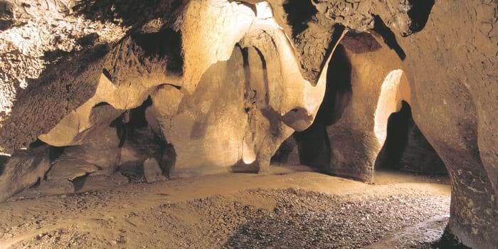 Cova del Toll