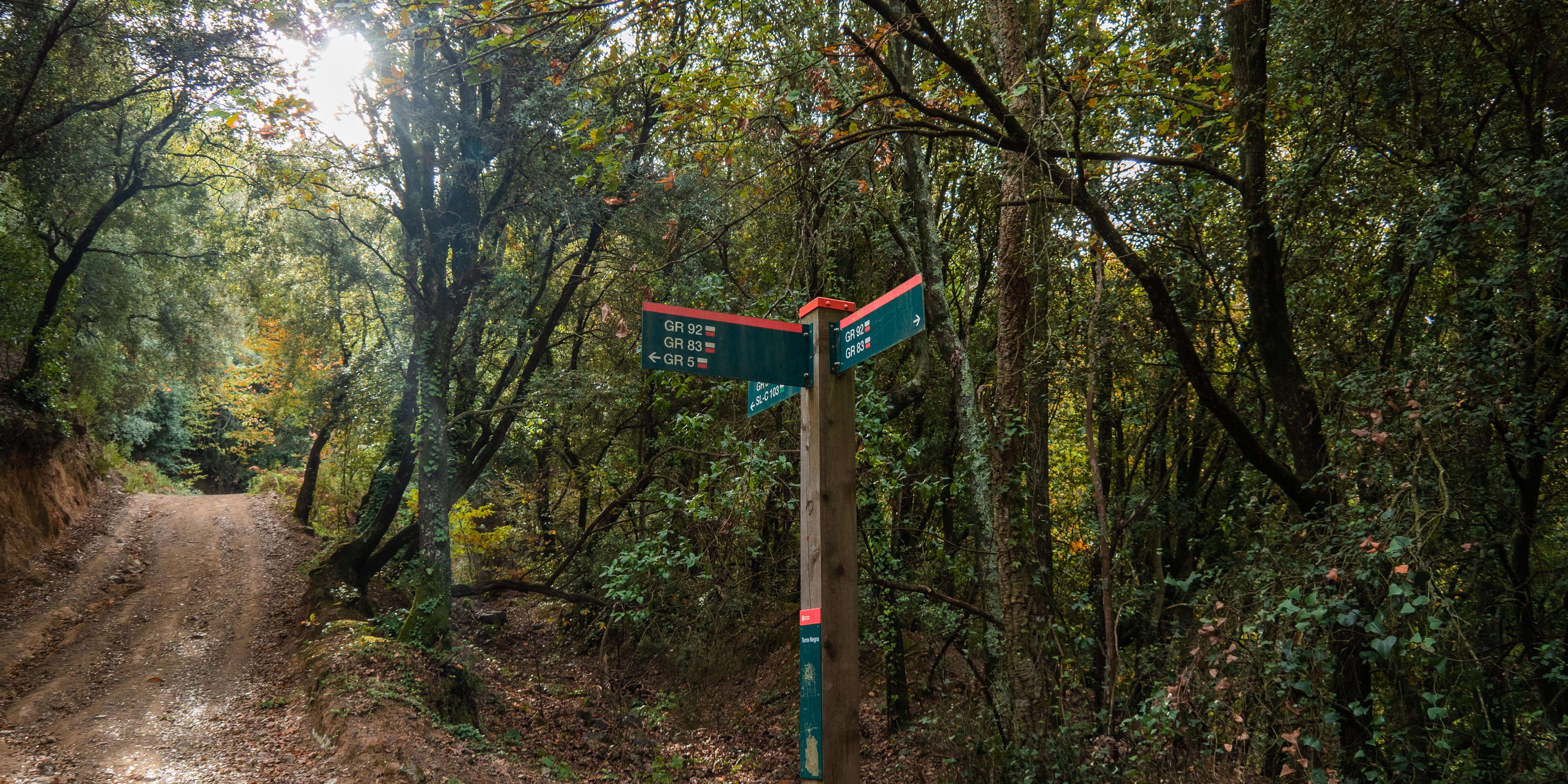 Route from Sant Martí to Santa Maria de Montnegre