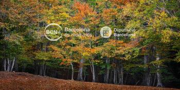 Parc Natural del Montseny, reserva de la biosfera. Vallès Oriental - COSTA BARCELONA