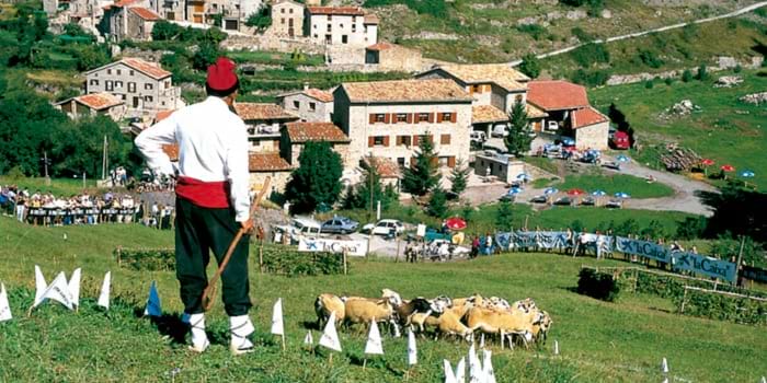 Concurso de perros pastor de Castellar de n'Hug