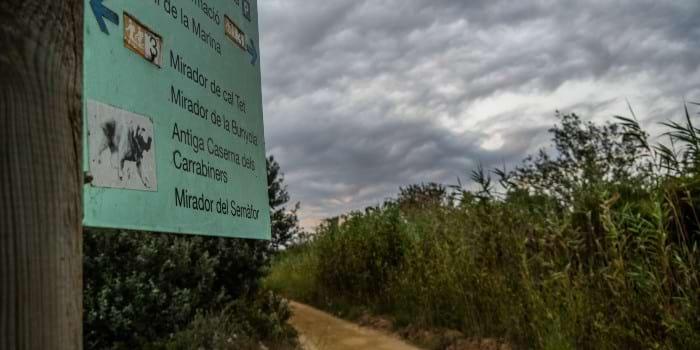 Circuits dans le Delta du Llobregat